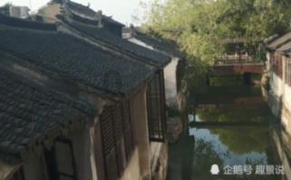 探索《花儿与少年》定档,杨幂在路透时的表现如何?